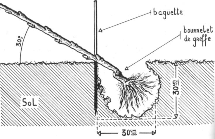 Schéma : disposition des trous..